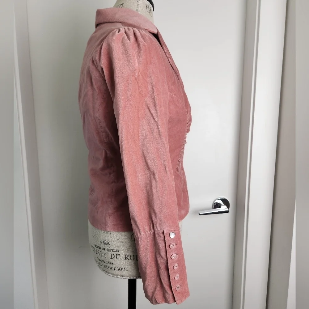 Vintage Pink Velvet Victorian Blazer - Picture 9 of 15